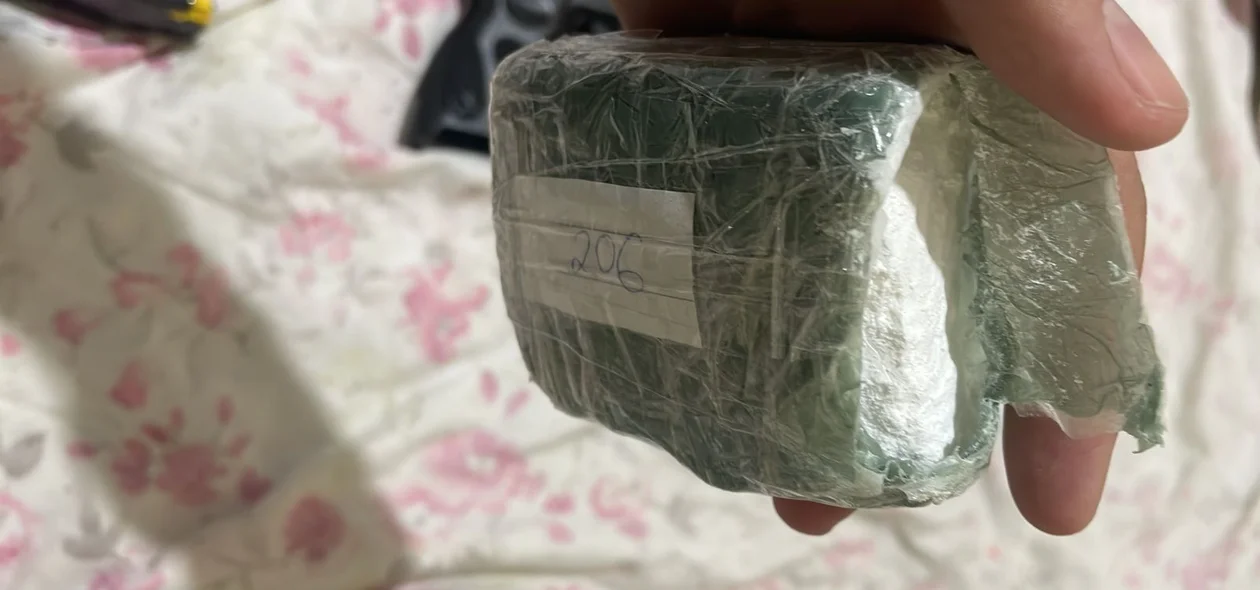 Parte da droga apreendida pela Polícia Civil do Piauí