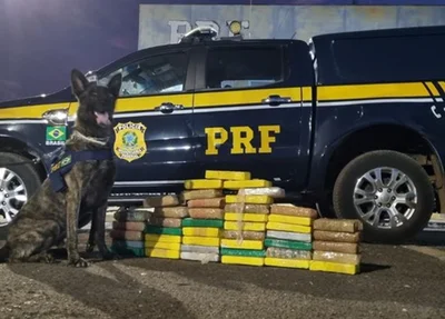 PRF apreende mais de R$ 7 milhões em cocaína em Timon