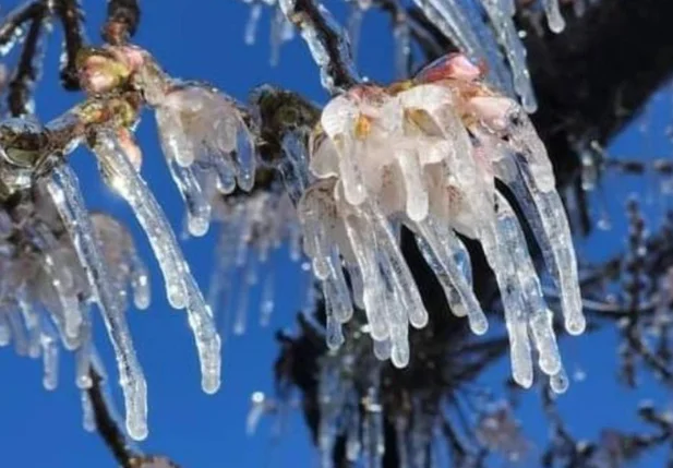 Registro de neve em São Joaquim