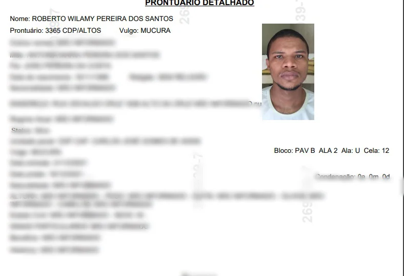 Roberto Wilamy Pereira dos Santos