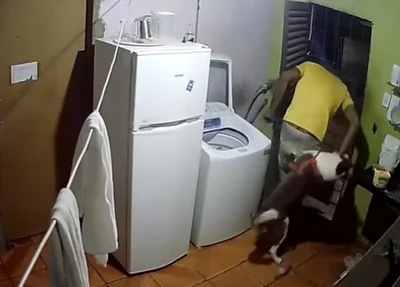 Bandido invade casa e é atacado por cachorro em Teresina