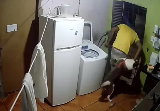 Bandido invade casa e é atacado por cachorro em Teresina