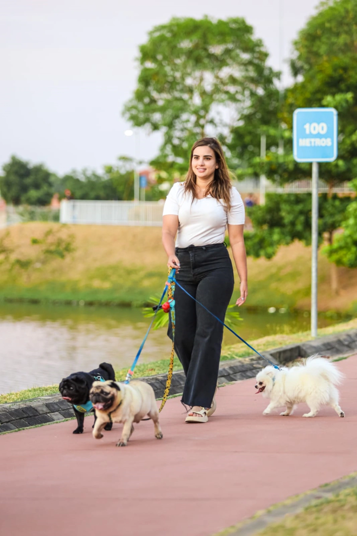 Bárbara do Firmino tem projetos para proteger os animais