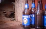 Cascos de cerveja espalhados na casa