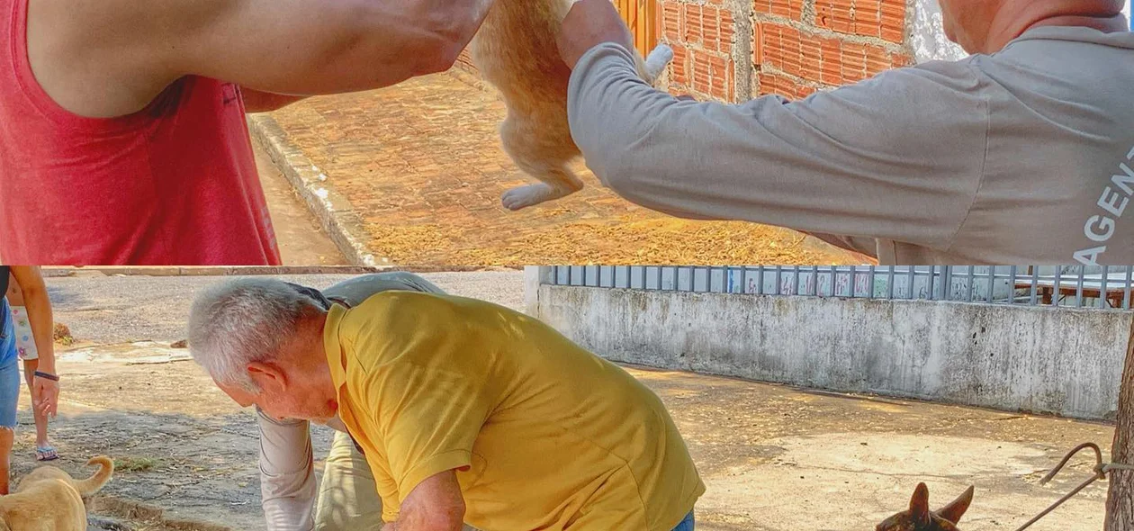 Dia D de Vacinação antirrábica