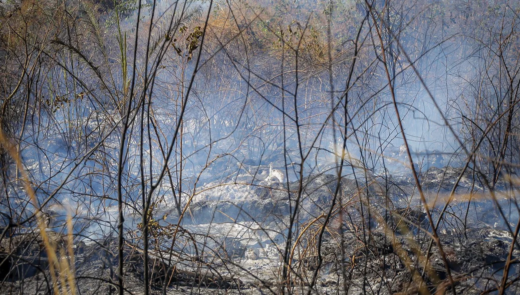 Incêndio em terreno na BR 316