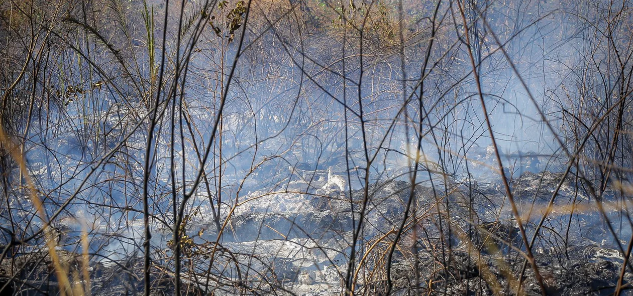 Incêndio em terreno na BR 316