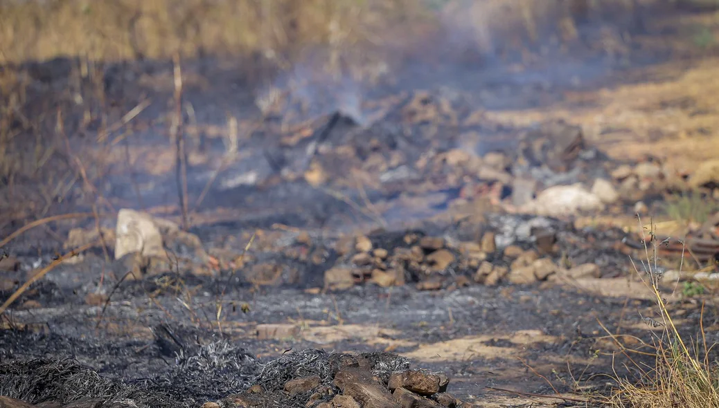 Incêndio próximo a fábrica da Jupi Alimentos