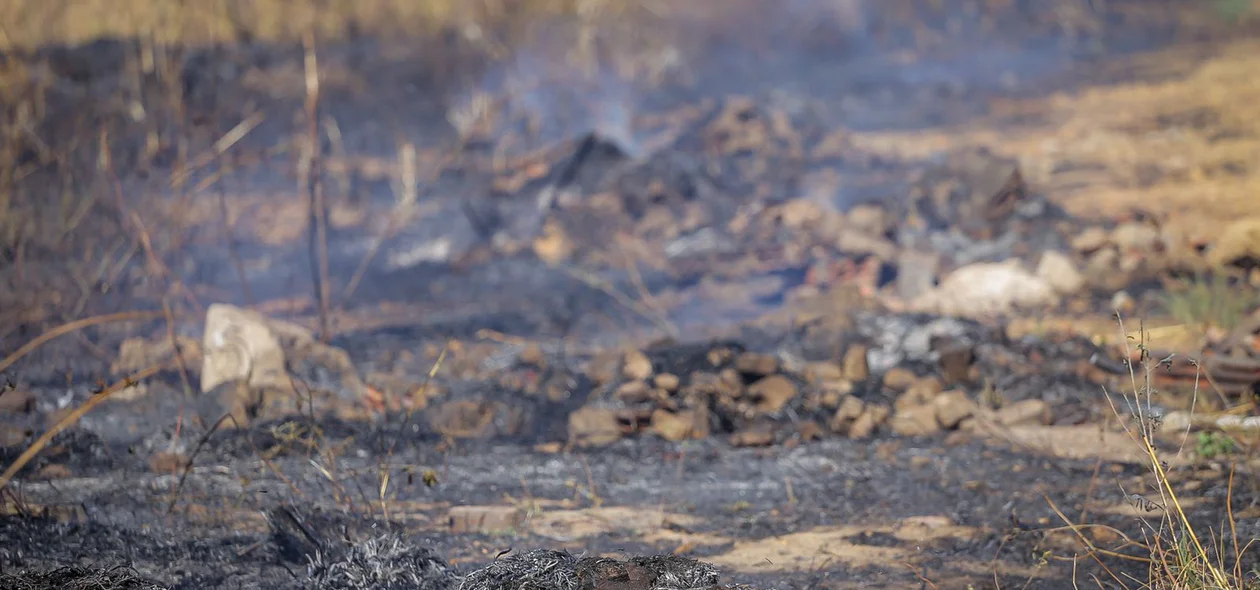 Incêndio próximo a fábrica da Jupi Alimentos