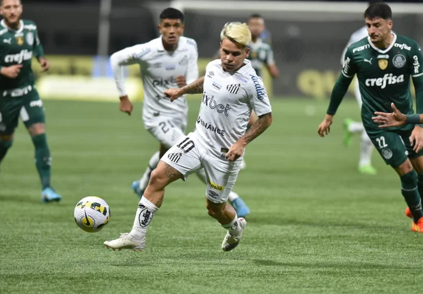 Palmeiras e Santos pela Série A