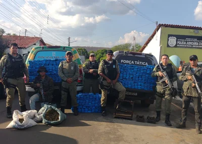 PM desarticula boca de fumo, realiza grande apreensão e prende traficante em Santo Inácio do Piauí