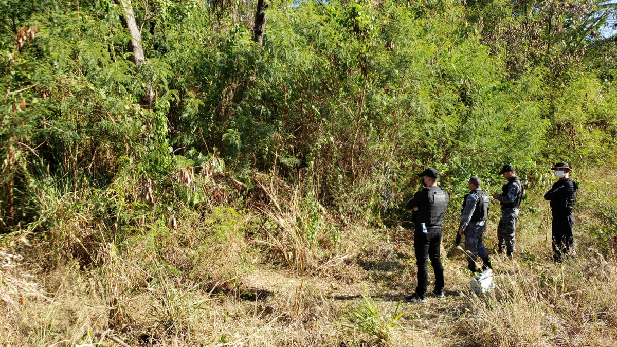 Policiais do DHPP no local do crime - Vila da Paz