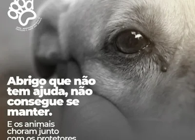 Apipa realiza campanha para arrecadar R$ 50 mil no mês de janeiro