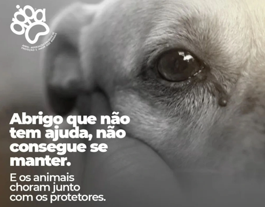 Apipa realiza campanha para arrecadar R$ 50 mil no mês de janeiro