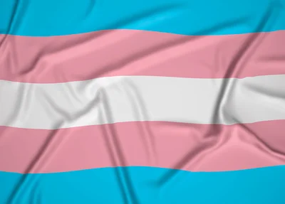 Bandeira Trans