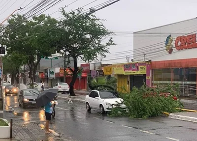 Classic branco é atingido por galho de árvore na principal do Dirceu