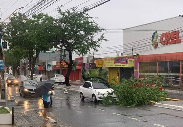 Classic branco é atingido por galho de árvore na principal do Dirceu