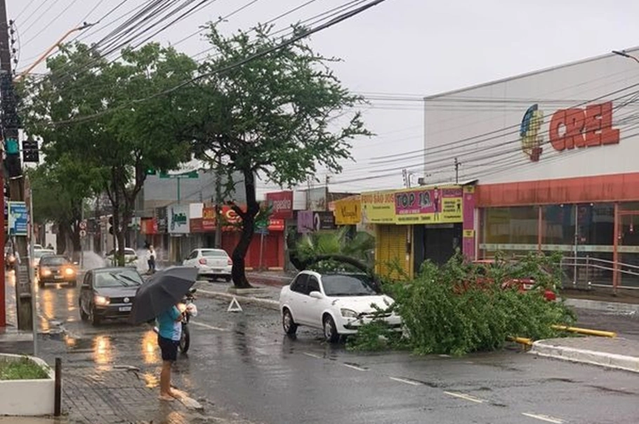 Classic branco é atingido por galho de árvore na principal do Dirceu