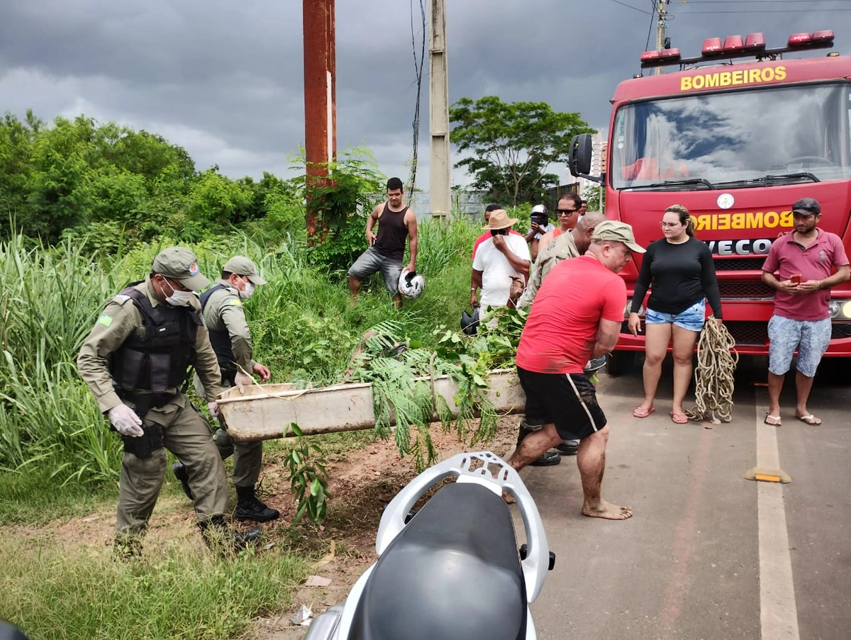 Corpo de Bombeiros foi acionado para a retirada do cadáver