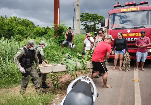 Corpo de Bombeiros foi acionado para a retirada do cadáver