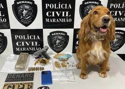 Itens apreendidos em Timon