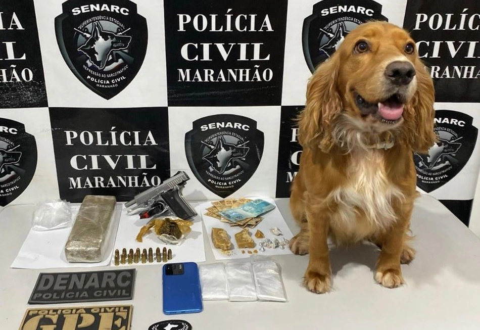 Itens apreendidos em Timon