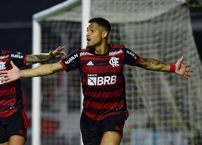João Gomes é vendido para o Wolverhampton