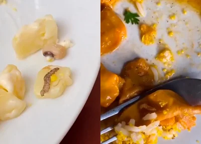 Larvas em comidas de restaurantes "Casarão" da zona leste de Teresina