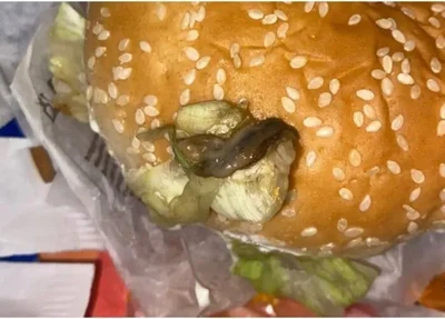 Lesma é encontrada em hambúrguer da franquia de fast food Burguer King