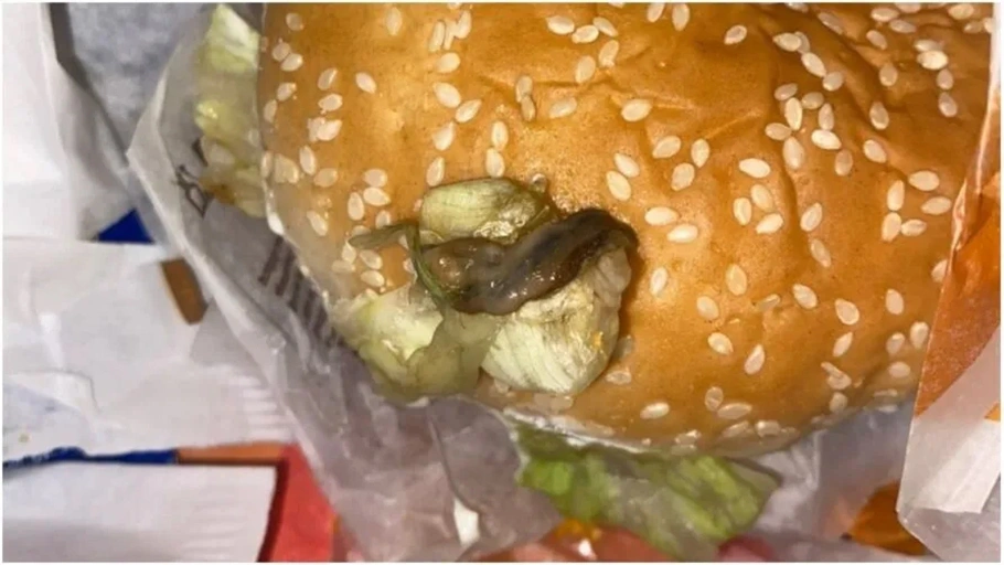 Lesma é encontrada em hambúrguer da franquia de fast food Burguer King