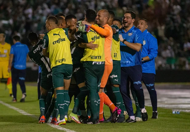 Palmeiras comemorando gol sobre o Botafogo-SP