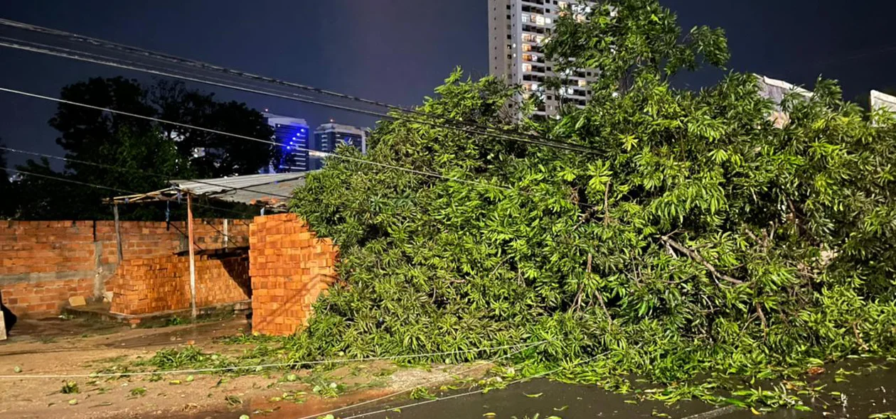 Parte do muro ficou destruído