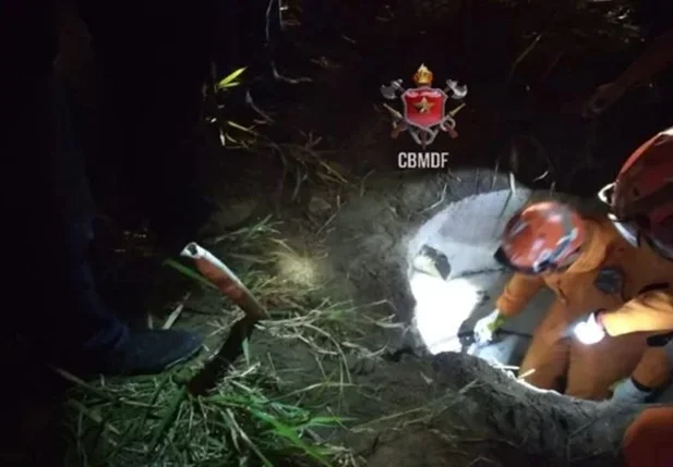 Polícia Civil localiza três corpos em área rural do Distrito Federal