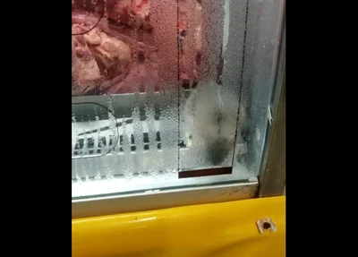 Rato é flagrado junto com carnes no R. Carvalho