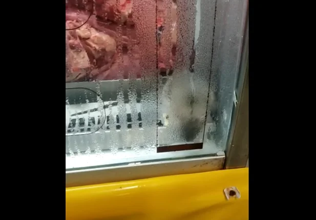 Rato é flagrado junto com carnes no R. Carvalho