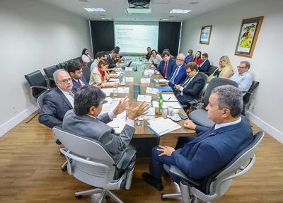 Reunião com ministro Wellington Dias