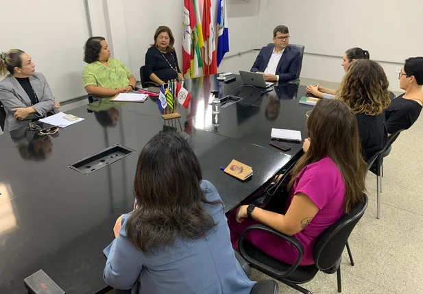 SSP-PI vai implementar protocolo de combate à violência contra mulher