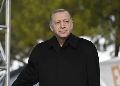 Tayyi Erdogan