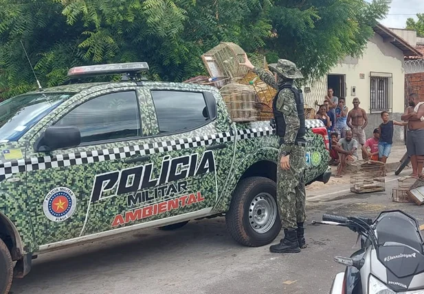 BPA apreendeu 40 aves em situação de cativeiro em União
