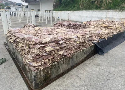 Carne seria 'maquiada' e revendida