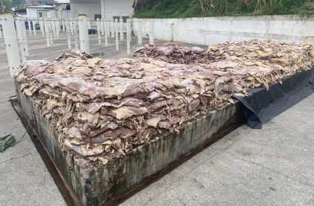 Carne seria 'maquiada' e revendida