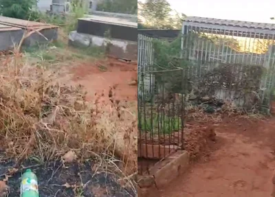 Cemitério São Pedro de Alcântara