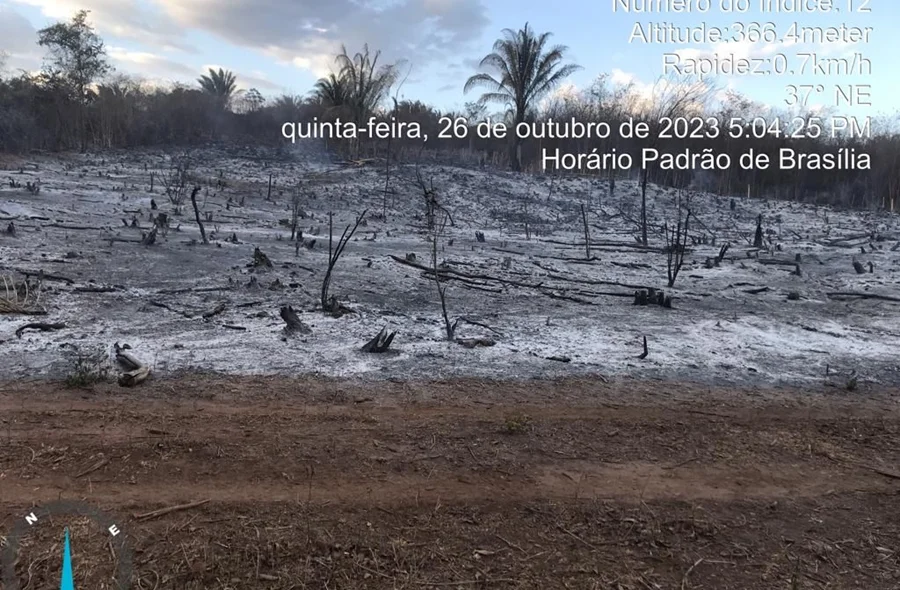 Chamas foram apagadas pela Brigada de Incêndio