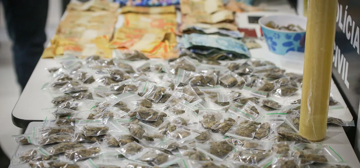 Denarc apreendeu cocaína e maconha
