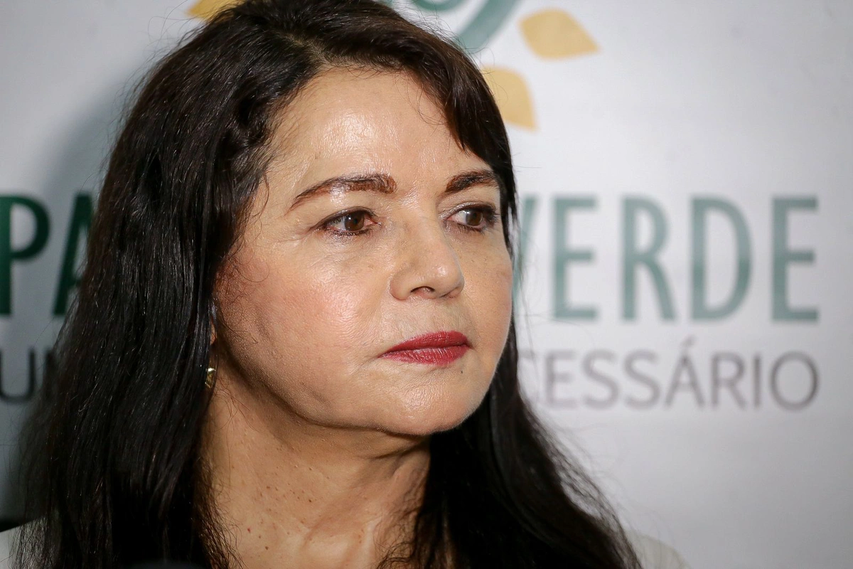Deputada Estadual, Teresa Brito