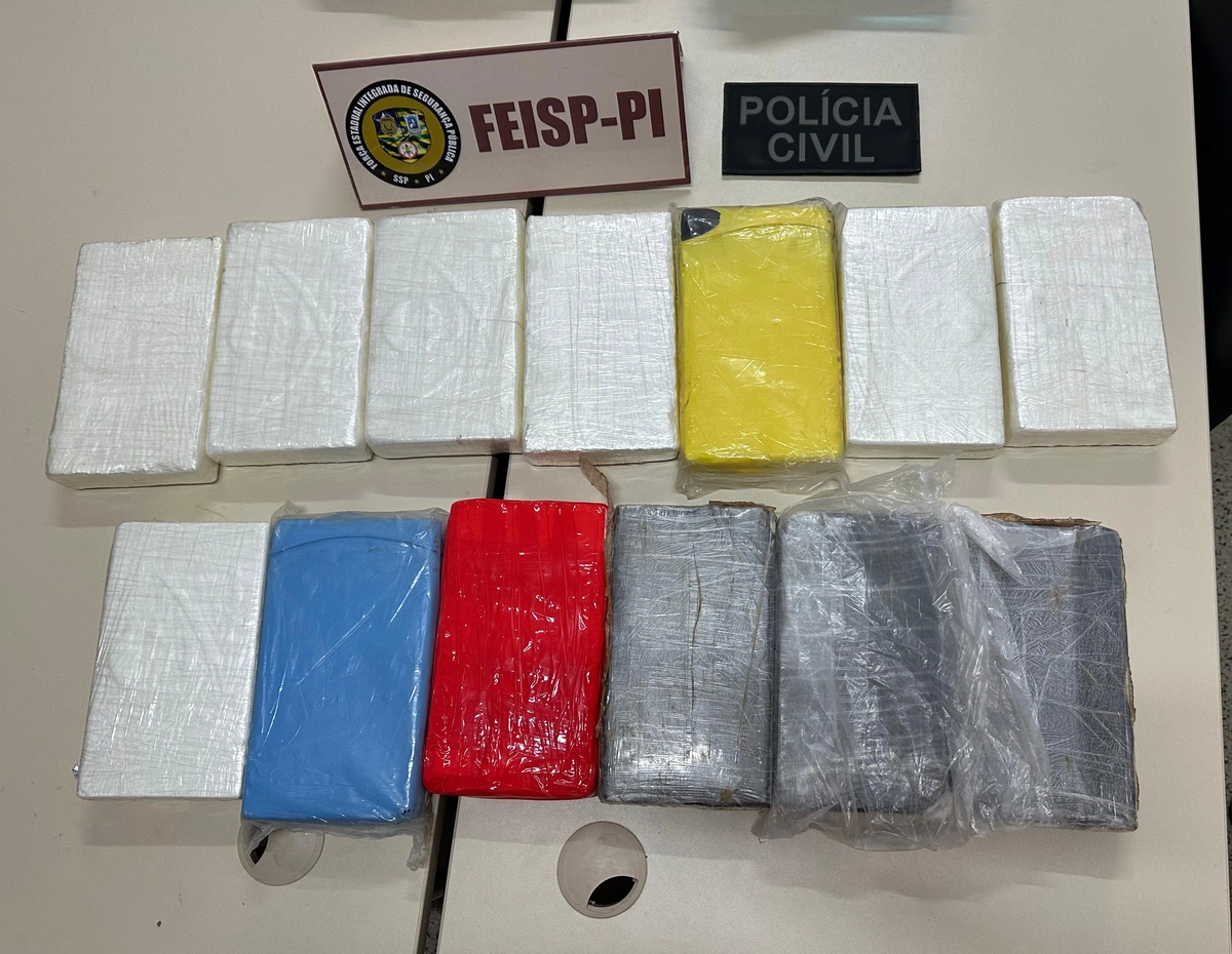 Droga apreendida pela DFHT em Teresina