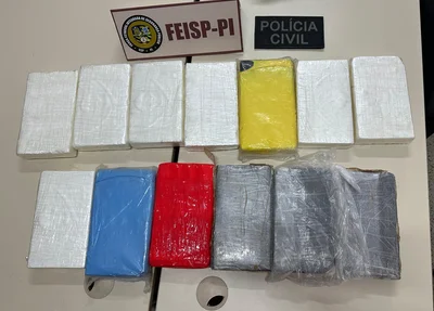 Droga apreendida pela DFHT em Teresina