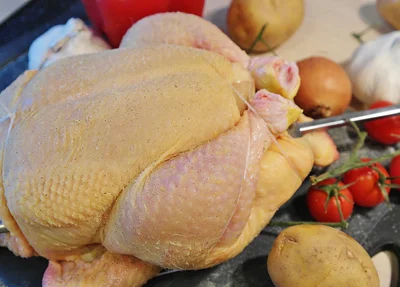 Frango
