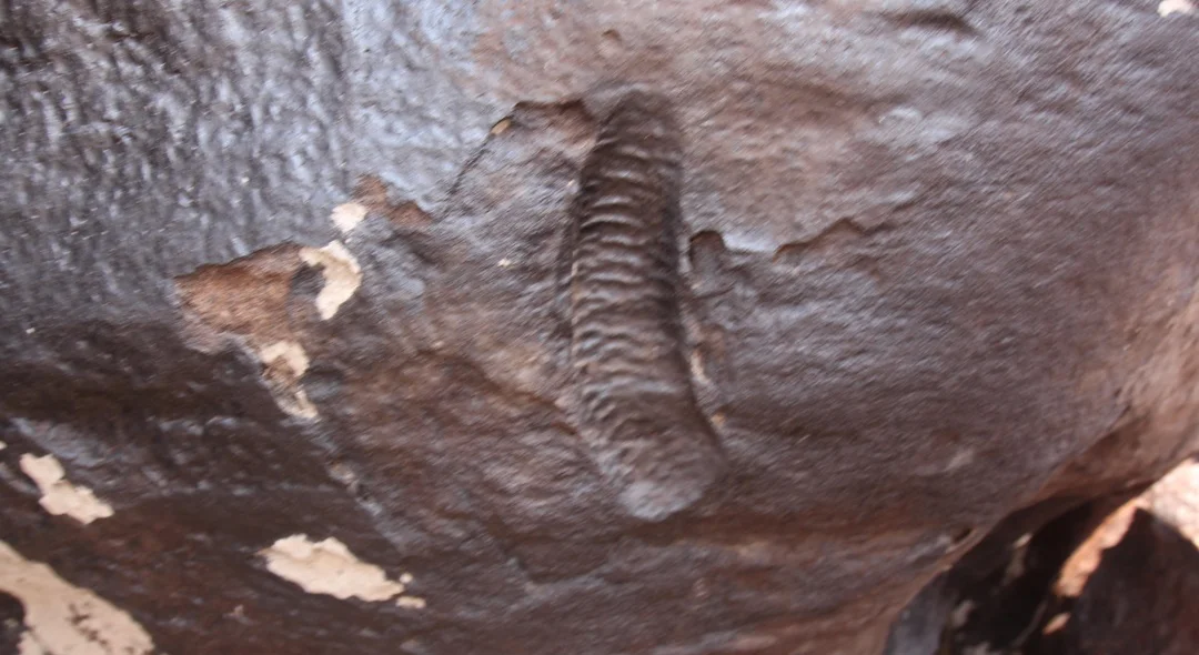 Gravura
