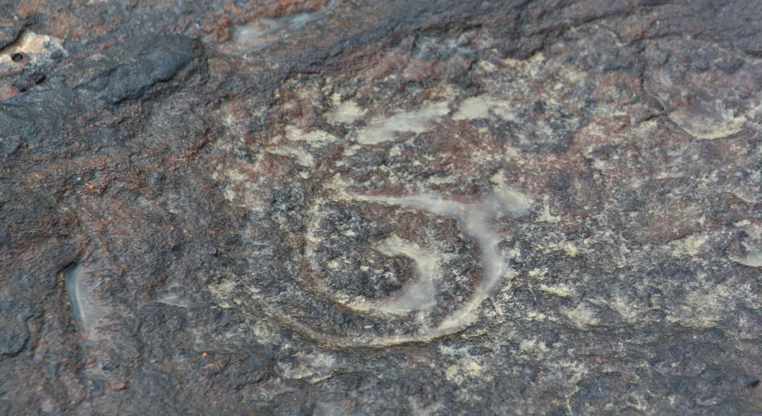 Gravura rupestre